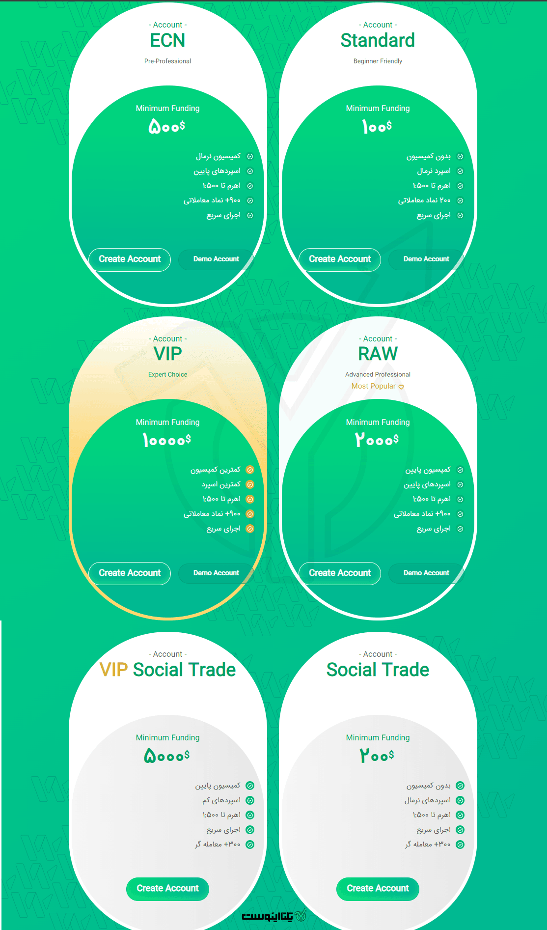 انواع حساب در بروکر وینگو مارکتس